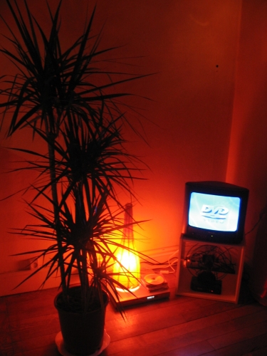 photos