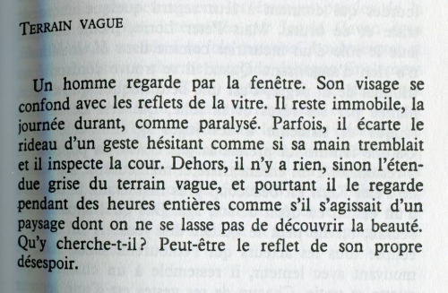 Adieu_009.jpg