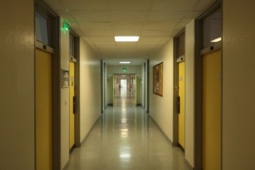 iut (2).JPG
